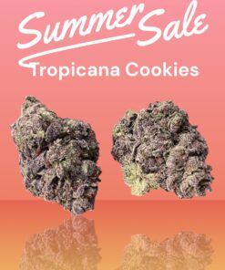 TROPICANA  COOKIES 28g OZ ON SALE SATIVA 🔥🔥120