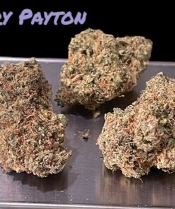 GARY PAYTON 4grams 🏝️🔥SUMMER SALE🏝️🔥 30%THC HYBRID
