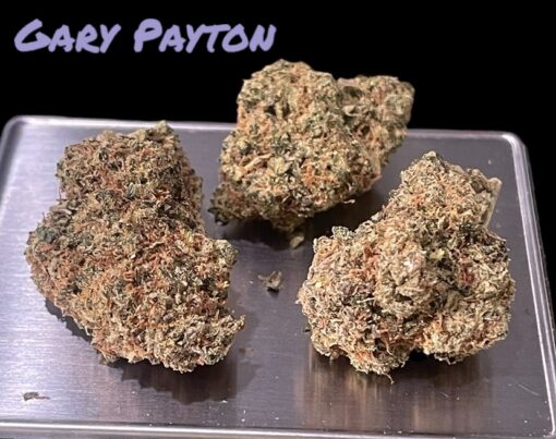 GARY PAYTON 4grams 🏝️🔥SUMMER SALE🏝️🔥 30%THC HYBRID