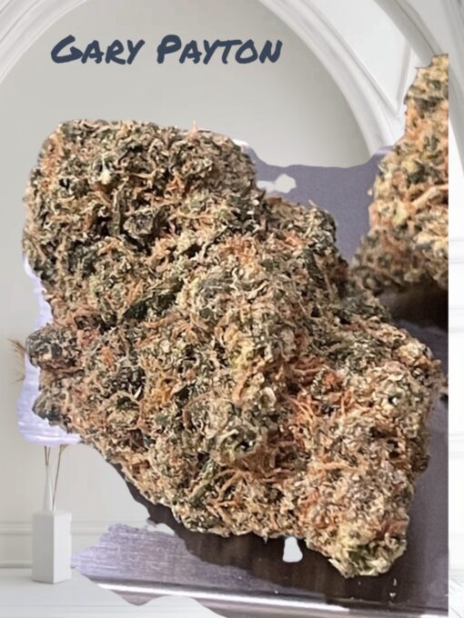 GARY PAYTON 4grams 🏝️🔥SUMMER SALE🏝️🔥 30%THC HYBRID