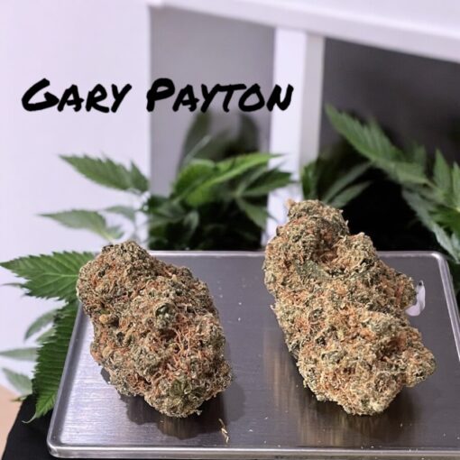 GARY PAYTON 4grams 🏝️🔥SUMMER SALE🏝️🔥 30%THC HYBRID