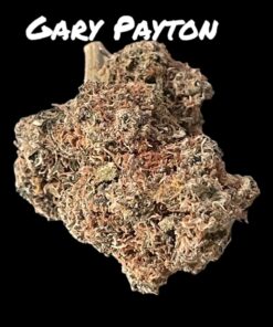 GARY PAYTON 4grams 🏝️🔥SUMMER SALE🏝️🔥 30%THC HYBRID