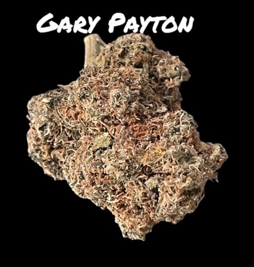 GARY PAYTON 4grams 🏝️🔥SUMMER SALE🏝️🔥 30%THC HYBRID
