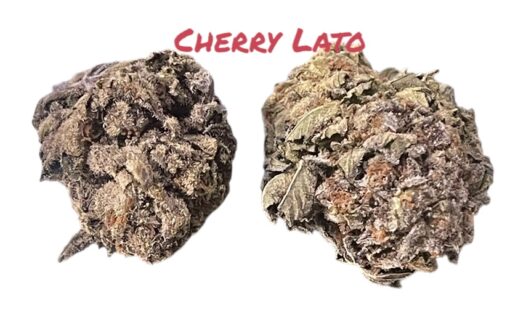 CHERRYLATO🍒7grams QUARTER HYBRID 26%THC 🏝️🔥 SALE🏝️🔥