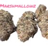 MARSHMALLOWZ 28g OZ ON SALE  HYBRID 28%THC 🔥🔥(ALIEN GENETICS)