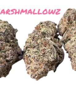 MARSHMALLOWZ 28g OZ ON SALE  HYBRID 28%THC 🔥🔥(ALIEN GENETICS)