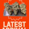 BLUE DREAM 7grams  QUARTER ON SALE 27%THC SATIVA 🔥🔥