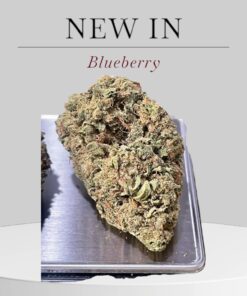 BLUEBERRY 7GRAMSQUARTER  INDICA 28%THC