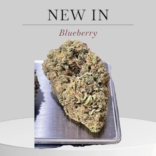 BLUEBERRY 7GRAMSQUARTER  INDICA 28%THC