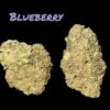 BLUEBERRY 7GRAMSQUARTER  INDICA 28%THC