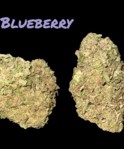 BLUEBERRY 7GRAMSQUARTER  INDICA 28%THC