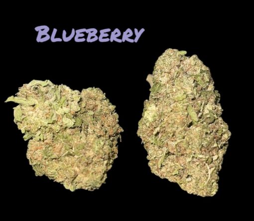 BLUEBERRY 7GRAMSQUARTER  INDICA 28%THC