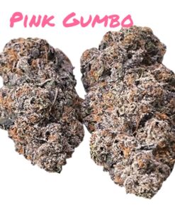 PINK GUMBO 28grams OZ ON SALE INDICA 36%THC EXOTICS ZAZA 🔥🔥🔥 🏆