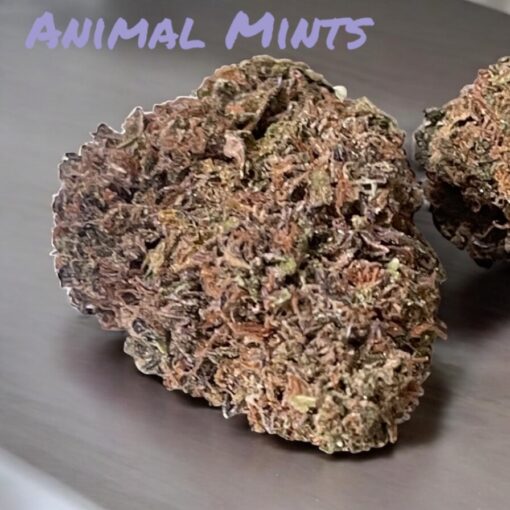 ANIMAL MINTS 28g OZ ON SALE HYBRID 26%THC