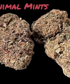 ANIMAL MINTS 28g OZ ON SALE HYBRID 26%THC