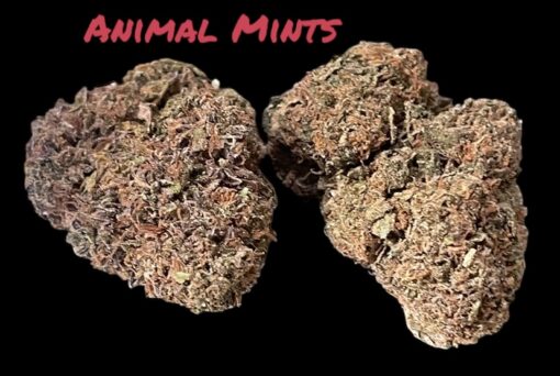 ANIMAL MINTS 28g OZ ON SALE HYBRID 26%THC