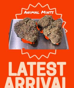 ANIMAL MINTS 28g OZ ON SALE HYBRID 26%THC