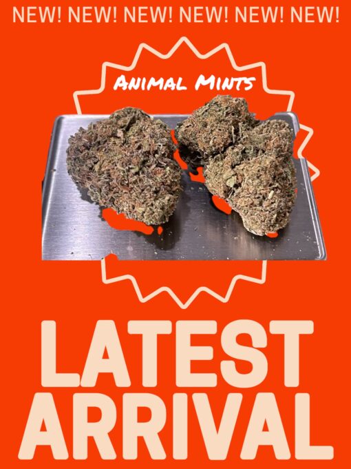 ANIMAL MINTS 28g OZ ON SALE HYBRID 26%THC