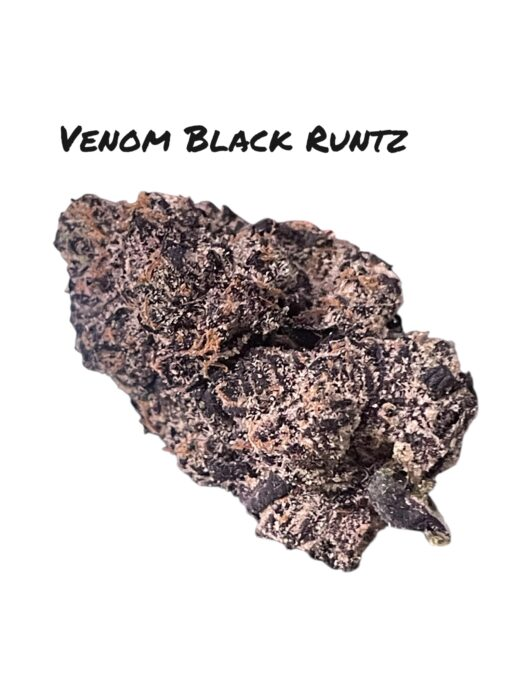Venom Black Runtz: A Dark and Potent Strain with Bite and Bold Relaxation