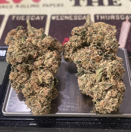MAMBA 🖤24 INDICA 35%THC  🔥🏆🔥🏆 EXOTICS on SALE