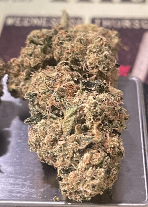 MAMBA 🖤24 INDICA 35%THC  🔥🏆🔥🏆 EXOTICS on SALE
