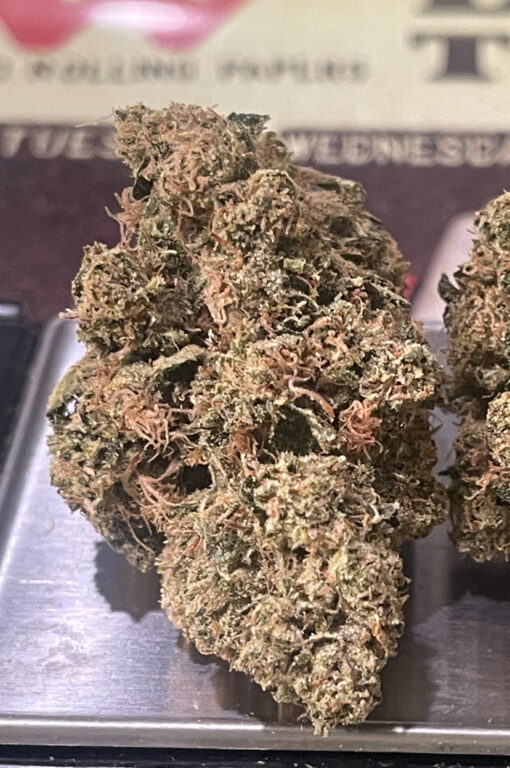 MAMBA 🖤24 INDICA 35%THC  🔥🏆🔥🏆 EXOTICS on SALE