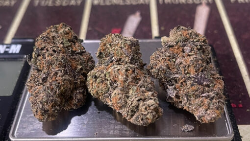 PRIME RUNTZ 3.5grams HYBRID 31% THC 🔥🔥