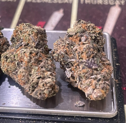 PRIME RUNTZ 3.5grams HYBRID 31% THC 🔥🔥
