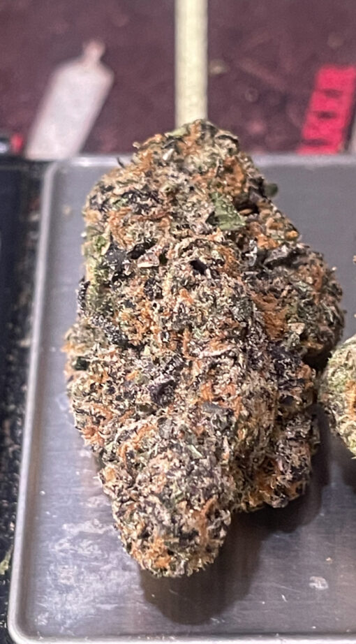 PRIME RUNTZ 3.5grams HYBRID 31% THC 🔥🔥