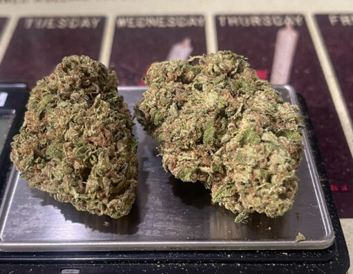 ZERBERT 7GRAMS QUARTER INDICA 28%THC 🔥🔥