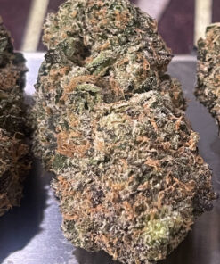 CHOCOLATINA 28grams OZ ON SALE 36% THC SATIVA 🏆🏆 EXOTICS 🔥🔥 RARE