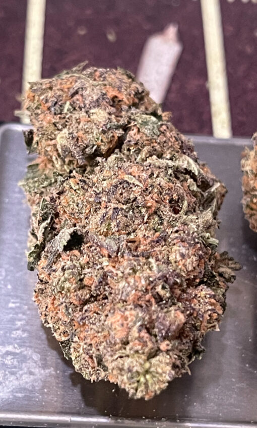 HINDU KUSH 4GRAMS INDICA 30%%THC 🏝️🔥SUMMER SALE🏝️🔥