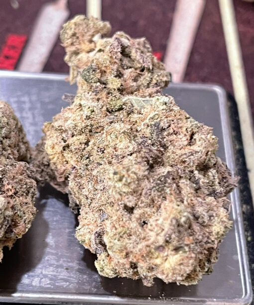 PABLOS REVENGE 4GRAMS  HYBRID 30%THC  🏝️🔥SUMMER SALe🏝️🔥