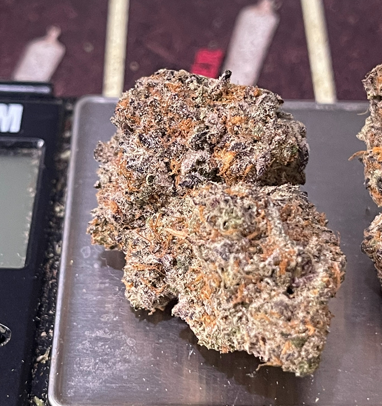 BLUEBERRY MUFFIN 4GRAMS INDICA 30%THC 🔥🏝️SUMMER SALE🏝️🔥 BLUEBERRY MUFFIN 4GRAMS INDICA 30%THC 🔥🏝️SUMMER SALE🏝️🔥