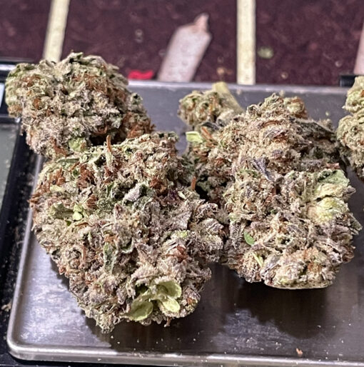 SUGAR CANE 7GRAMS QUARTER HYBRID 28%THC 🔥🔥