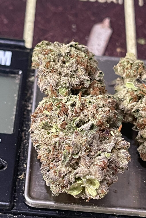 SUGAR CANE 7GRAMS QUARTER HYBRID 28%THC 🔥🔥