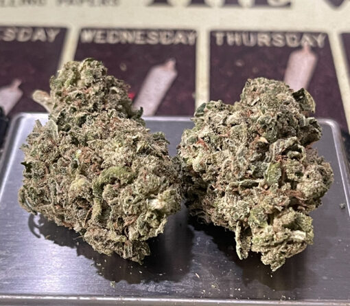 JUNGLE GLUE 4GRAMS HYBRID 30%THC 🏝️🔥SUMMER SALE🏝️🔥