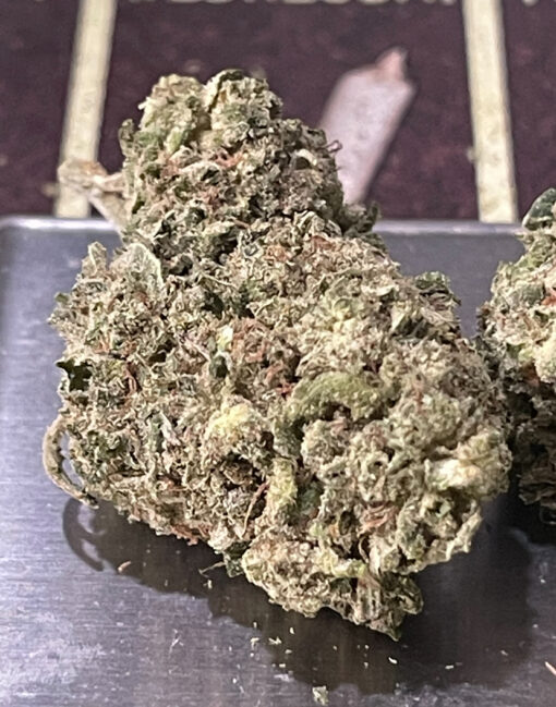 JUNGLE GLUE 4GRAMS HYBRID 30%THC 🏝️🔥SUMMER SALE🏝️🔥