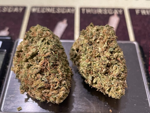GMO 28g OZ INDICA ON SALE 29%THC