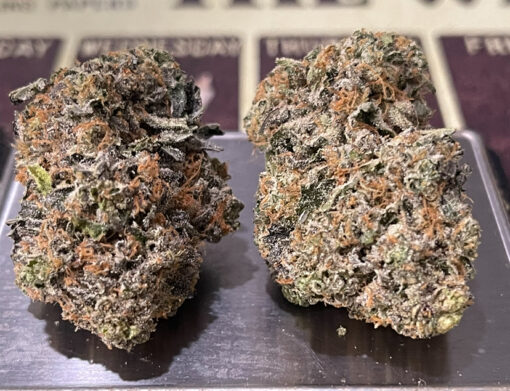 BLUE TOMYZ 🏆 28grams OZ SATIVA 36%THC Backpack BOyS 🎒🎒🔥🔥