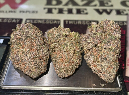 BLACK RUNTZ 3.5g INDICA 31%THC 🔥🔥 NEW DROP