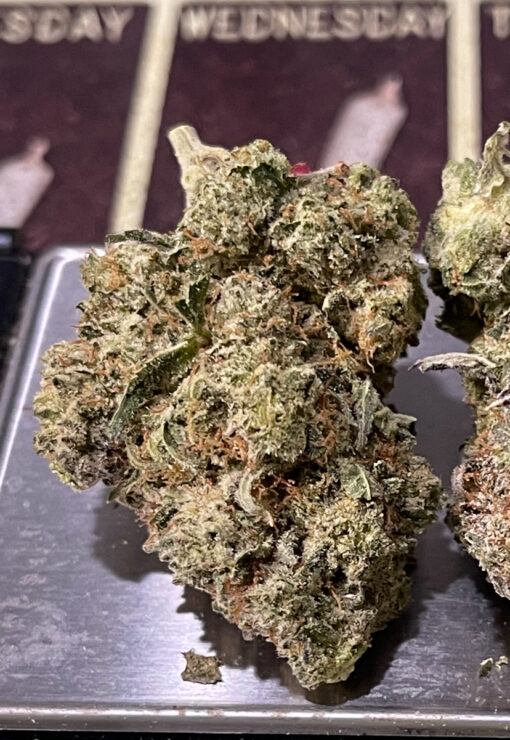 GORILLA GLUE#4🦍3.5grams HYBRID 30%THC 🔥🔥 LABOR DAY SALE 🔥🔥🏝️