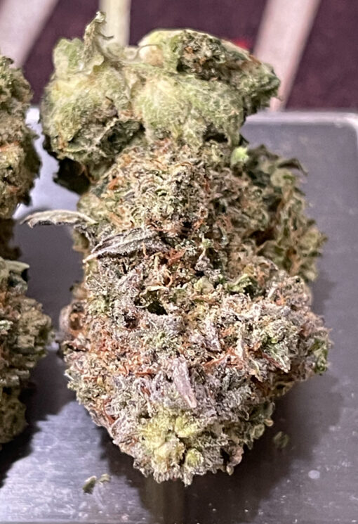 GORILLA GLUE#4🦍3.5grams HYBRID 30%THC 🔥🔥 LABOR DAY SALE 🔥🔥🏝️