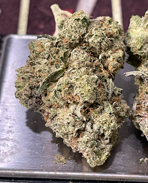 GORILLA GLUE#4🦍3.5grams HYBRID 30%THC 🔥🔥 LABOR DAY SALE 🔥🔥🏝️