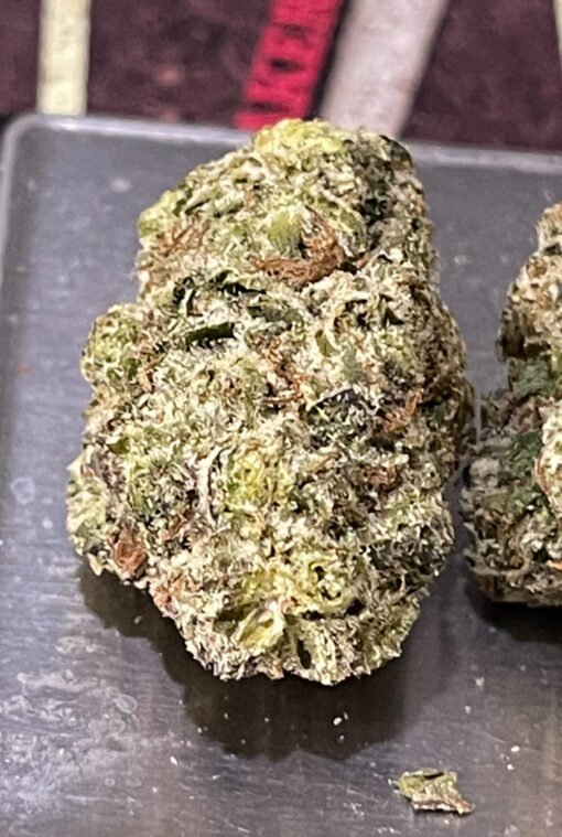 LEMON CHERRY RUNTZ 3.5g HYBRiD 31%THC 🔥🔥 LABOR DAY SALE 🔥🔥