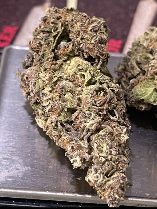 DONNY BURGER 7GRAMSQUARTER  27%THC INDICA 🏝️🔥LABOR DAY SALE🏝️🔥