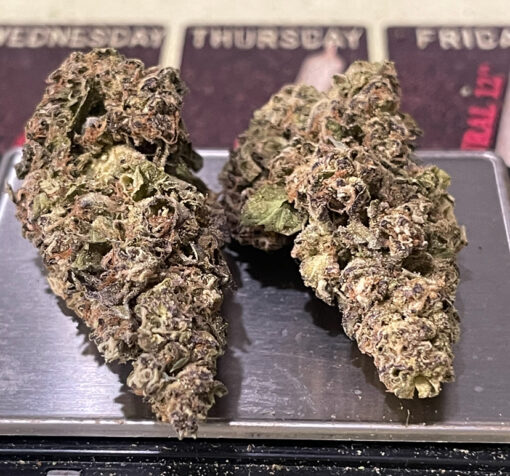 DONNY BURGER 7GRAMSQUARTER  27%THC INDICA 🏝️🔥LABOR DAY SALE🏝️🔥