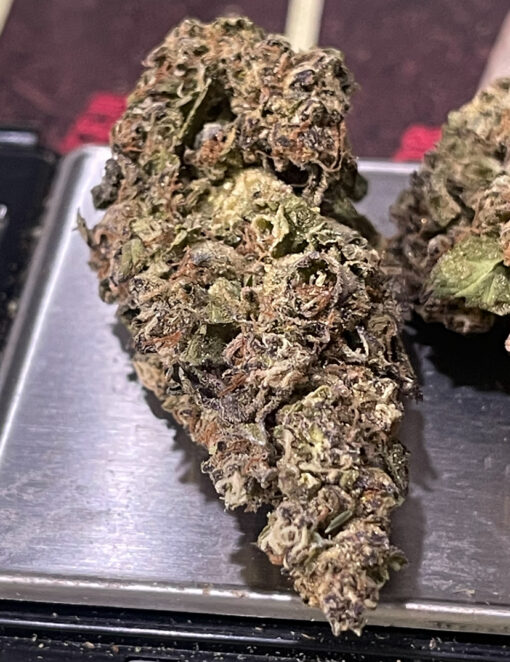 DONNY BURGER 7GRAMSQUARTER  27%THC INDICA 🏝️🔥LABOR DAY SALE🏝️🔥