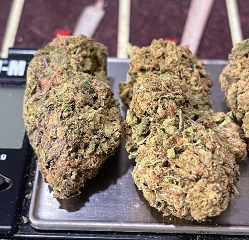 DURBAN POISON 7GRAMS QUARTER  SATIVA 27%THC  🏝️🔥LABOR DAY SALE 🏝️🔥