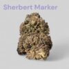 SHERBERT x MARKER 28g OZ ON SALE INDICA 26%THC 🔥🔥